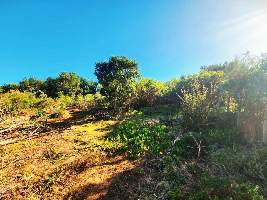 Commercial Property for Sale in Langvlei Dunes Western Cape